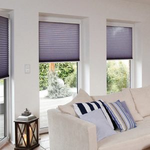 PLEATED BLINDS